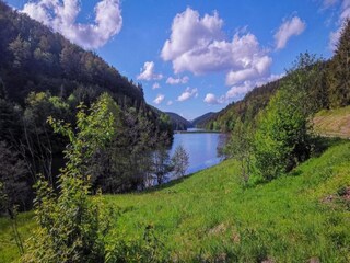 Apartment Frauenwald Environment 32