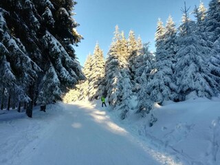 Appartement Frauenwald Environnement 22