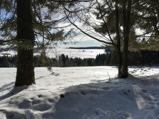 Appartamento Frauenwald Ambiente 20