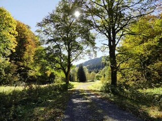 Appartement Frauenwald Environnement 39