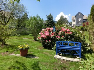 Appartement Deesbach Buitenaudio-opname 7