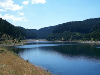 Apartment Katzhütte Environment 28