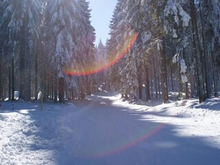 Appartamento Katzhütte Ambiente 31