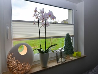 Vakantiehuis Emsetal  38