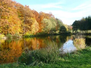 Vakantiehuis Emsetal Omgeving 33