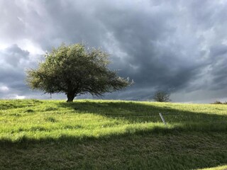 Casa per le vacanze Emsetal Ambiente 31