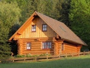 Holiday house Natur-Blockhaus in Waltershausen - Emsetal - image1