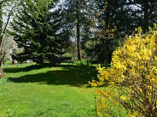 Ferienhaus Bad Tabarz Außenaufnahme 4