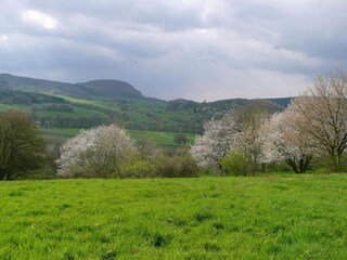 Maison de vacances Bad Tabarz Environnement 35