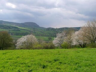 Casa per le vacanze Bad Tabarz Ambiente 31
