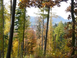 Ferienhaus Bad Tabarz Umgebung 28