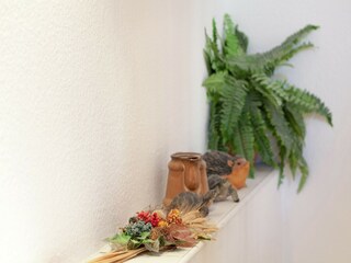 Ferienhaus Emsetal  40