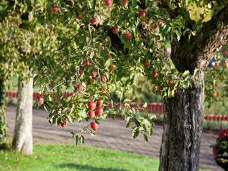 Casa per le vacanze Emsetal Ambiente 27
