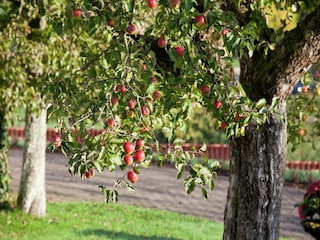 Ferienhaus Emsetal Umgebung 27