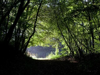 Maison de vacances Emsetal Environnement 28