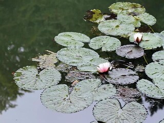 Casa per le vacanze Emsetal Ambiente 24
