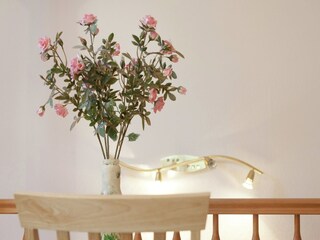 Ferienhaus Emsetal  38