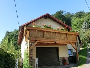 Casa per le vacanze Cottage in Winterstein Thuringia vicino a impianto sciistico - Emsetal - image1