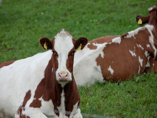 Apartment Emsetal Umgebung 37