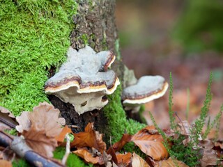 Apartment Emsetal Umgebung 36