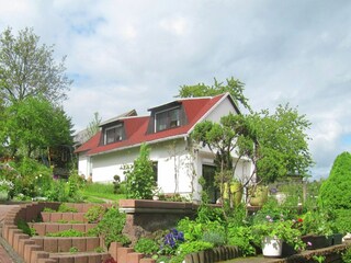 Ferienhaus Emsetal Außenaufnahme 6