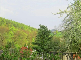 Ferienhaus Emsetal Außenaufnahme 7