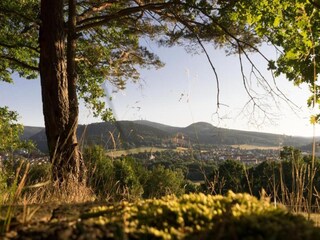 Appartement Bad Tabarz Environnement 36