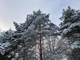 Appartamento Bad Tabarz Ambiente 37