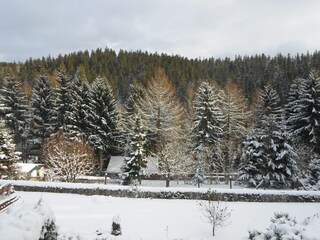 Maison de vacances Friedrichroda Enregistrement extérieur 4