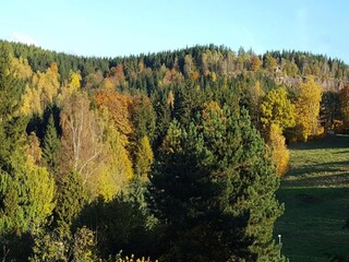 Vakantiehuis Friedrichroda Omgeving 25