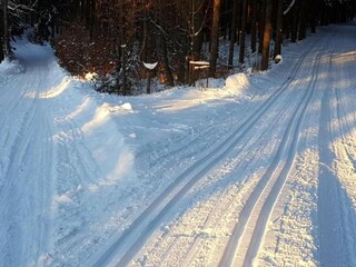 Maison de vacances Friedrichroda Environnement 21