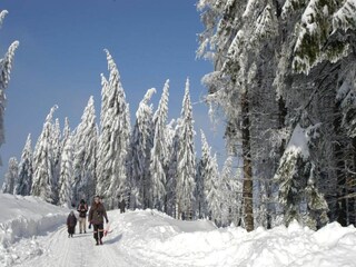 Vakantiehuis Friedrichroda Omgeving 22