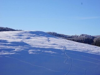 Vakantiehuis Friedrichroda Omgeving 28