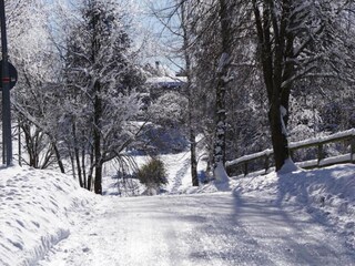 Maison de vacances Friedrichroda Environnement 24
