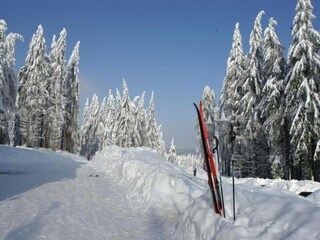 Maison de vacances Friedrichroda Environnement 31