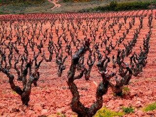 Landhaus Salinillas de Buradón Umgebung 32