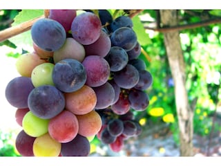 Casale Salinillas de Buradón  39