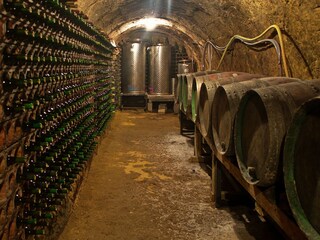 Type de propriété : Chalet Salinillas de Buradón  39