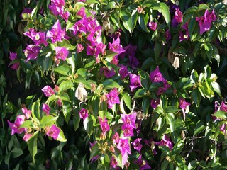 Casa per le vacanze Finestrat Registrazione all'aperto 19