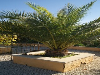 Vakantiehuis Finestrat Buitenaudio-opname 21