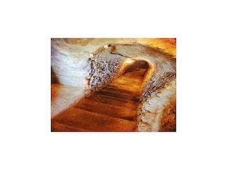 Cottage Labastida Features 22