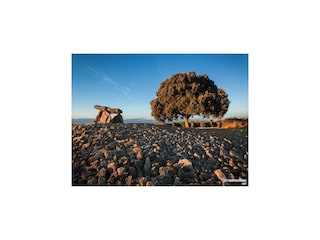 Cottage Labastida Environment 33