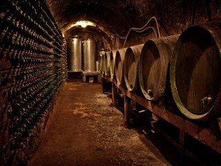 Casale Labastida  43