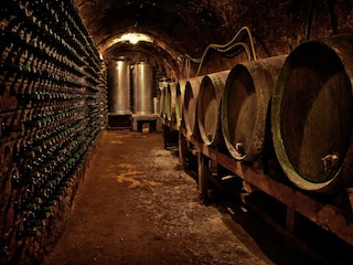 Landhaus Labastida  43