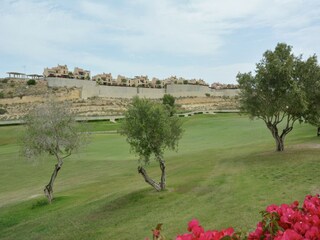 Villa Algorfa Grabación al aire libre 10