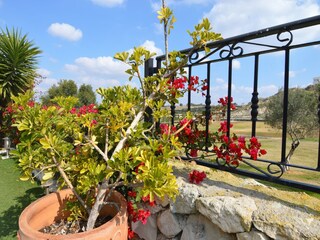 Villa Algorfa Außenaufnahme 8