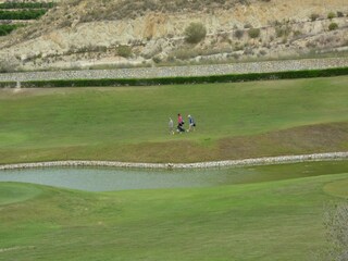 Villa Algorfa Omgeving 37