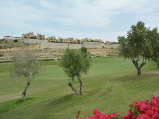 Villa Algorfa Outdoor Recording 10