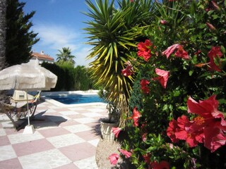 Villa Rojales Grabación al aire libre 10