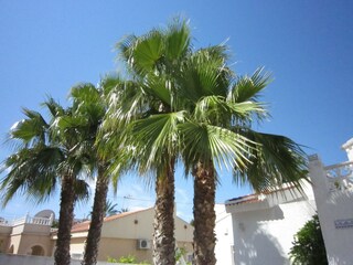 Villa Rojales Buitenaudio-opname 10